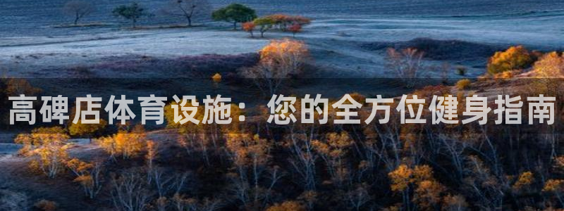 意昂体育3平台注册：高碑店体育设施：您的全方位健身指