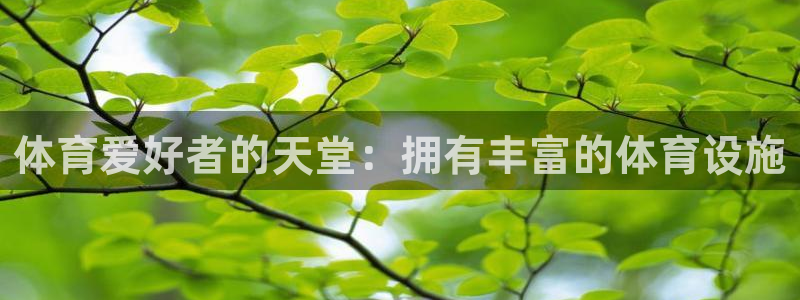 意昂3娱乐首页网站大全：体育爱好者的天堂：拥有丰富的