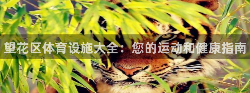 意昂3集团：望花区体育设施大全：您的运动和健康指南