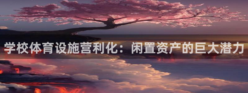 意昂体育3招商：学校体育设施营利化：闲置资产的巨大潜