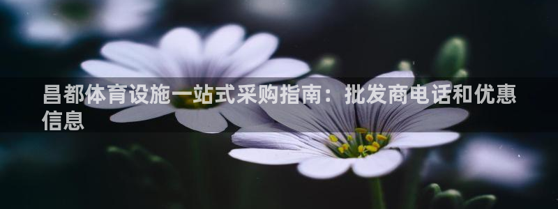 意昂3集团官网首页：昌都体育设施一站式采购指南：批发