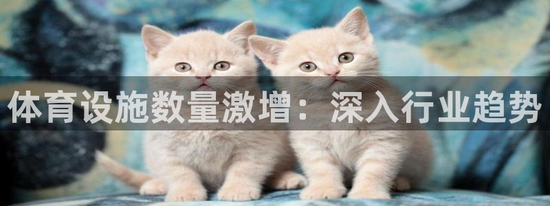 意昂3官方：体育设施数量激增：深入行业趋势