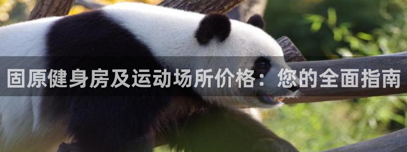 意昂体育3平台假的吗是真的吗：固原健身房及运动场所价