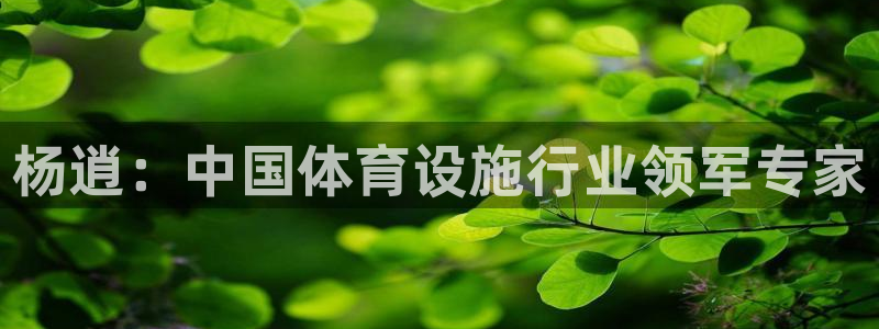 意昂体育3平台是正规平台吗安全吗：杨逍：中国体育设施