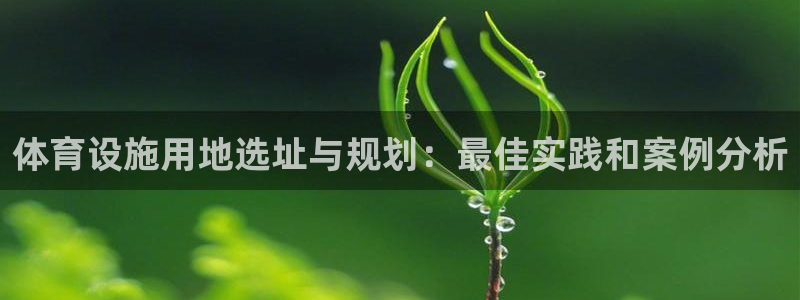 意昂3集团logo：体育设施用地选址与规划：最佳实践