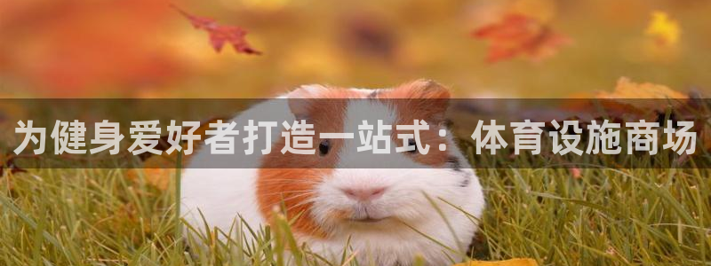 意昂3集团官网首页网址：为健身爱好者打造一站式：体育
