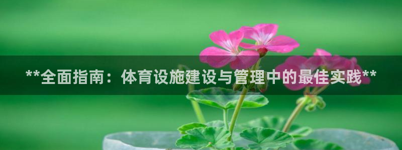 意昂3集团简介：**全面指南：体育设施建设与管理中的