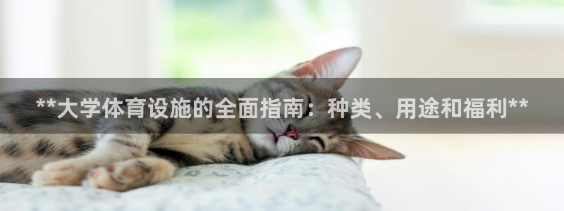 意昂3科技：**大学体育设施的全面指南：种类、用途和