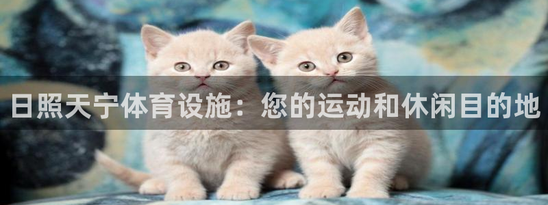 意昂体育3招商电话号码是多少号：日照天宁体育设施：您