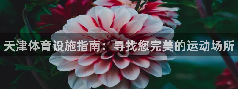 意昂体育3平台APP：天津体育设施指南：寻找您完美的