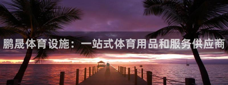 意昂3娱乐：鹏晟体育设施：一站式体育用品和服务供应商