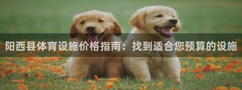 意昂体育3平台APP：阳西县体育设施价格指南：找到适