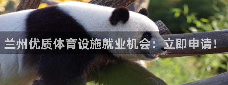 意昂3集团E.ON：兰州优质体育设施就业机会：立即申