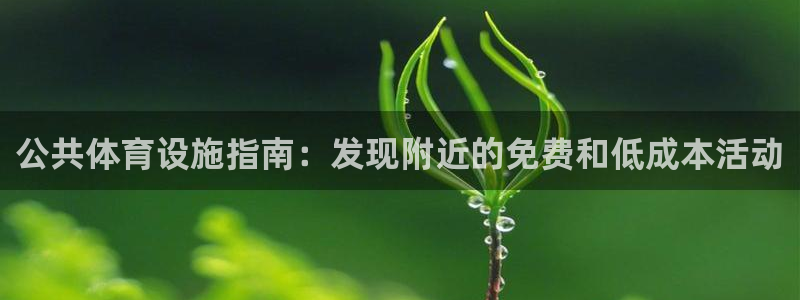 意昂体育3平台注册要钱吗安全吗：公共体育设施指南：发