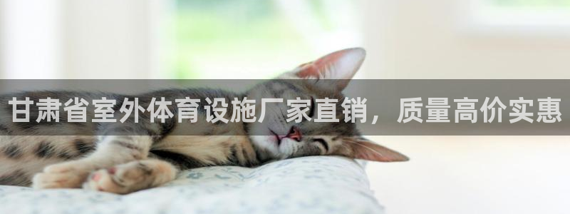意昂体育3平台：甘肃省室外体育设施厂家直销，质量高价