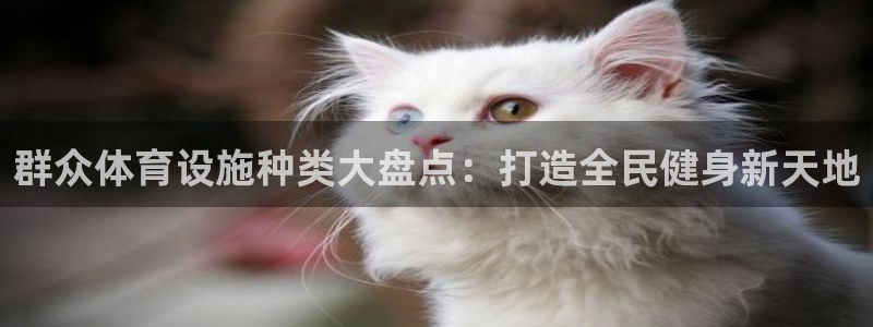 意昂3官方：群众体育设施种类大盘点：打造全民健身新天