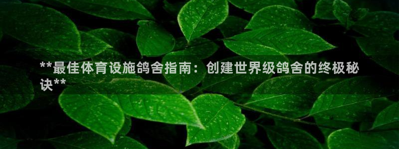 意昂体育3招商电话地址：**最佳体育设施鸽舍指南：创