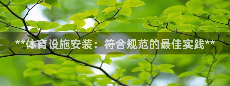意昂体育3招商电话是多少号码：**体育设施安装：符合
