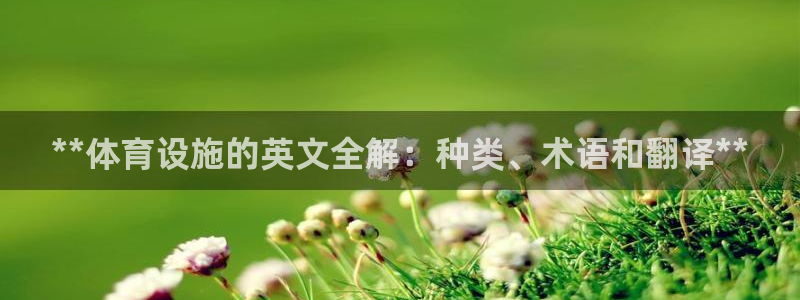 意昂3集团：**体育设施的英文全解：种类、术语和翻译