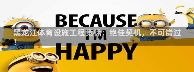 注册意昂3：黑龙江体育设施工程竞标：绝佳契机，不可错