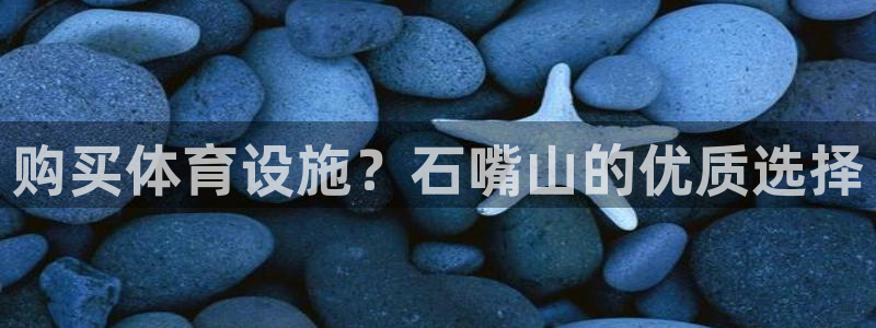 意昂3集团logo：购买体育设施？石嘴山的优质选择