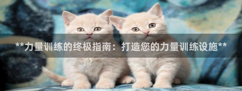 意昂体育3平台是正规平台吗知乎：**力量训练的终极指
