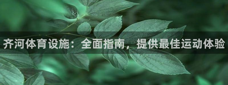 意昂3科技：齐河体育设施：全面指南，提供最佳运动体验
