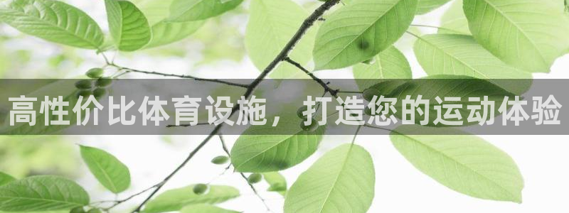 意昂体育3联系电话：高性价比体育设施，打造您的运动体