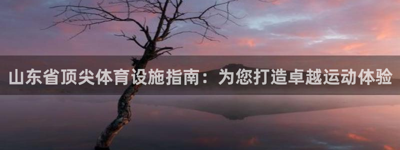 意昂体育3招商电话号码是多少：山东省顶尖体育设施指南