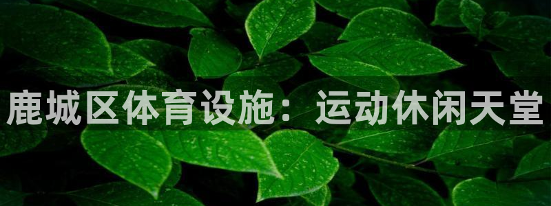 意昂体育3是干嘛的公司：鹿城区体育设施：运动休闲天堂