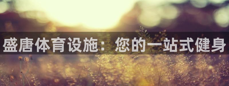 意昂3官方：盛唐体育设施：您的一站式健身