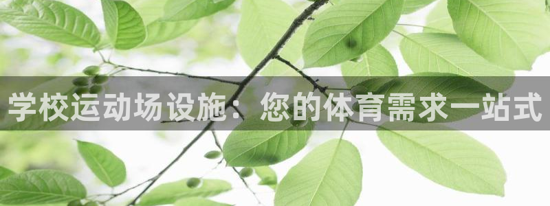 意昂3娱乐40996：学校运动场设施：您的体育需求一
