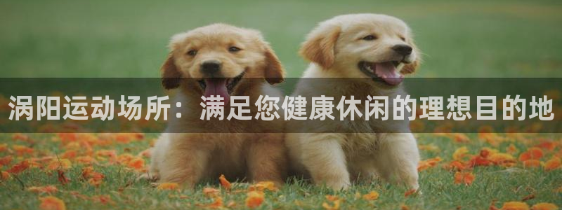 意昂体育3平台：涡阳运动场所：满足您健康休闲的理想目