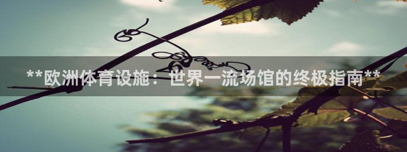 意昂3神州：**欧洲体育设施：世界一流场馆的终极指南
