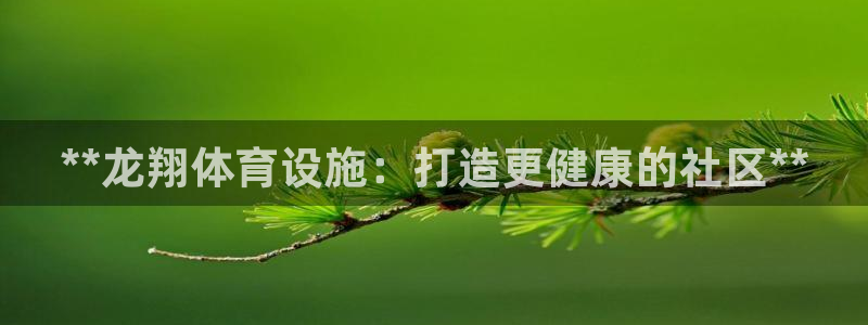 意昂3集团E.ON：**龙翔体育设施：打造更健康的社