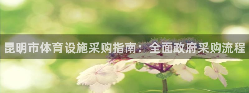 意昂体育3平台注册要钱吗：昆明市体育设施采购指南：全