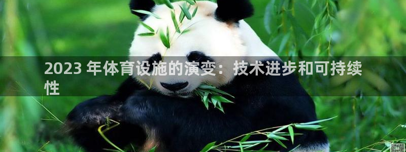 意昂体育3娱乐：2023 年体育设施的演变：技术进步