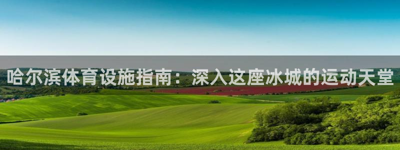 意昂3娱乐：哈尔滨体育设施指南：深入这座冰城的运动天