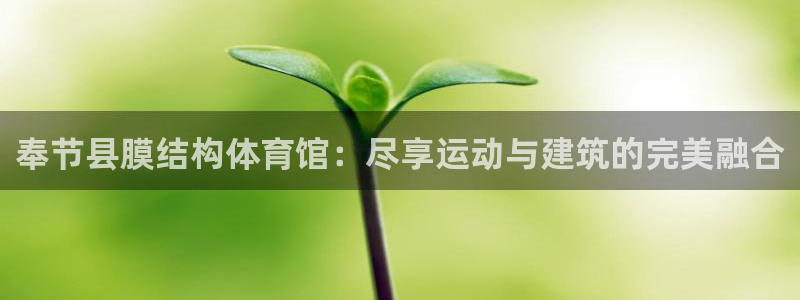 意昂3代理：奉节县膜结构体育馆：尽享运动与建筑的完美