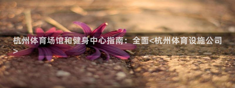 意昂3五金厂：杭州体育场馆和健身中心指南：全面<杭州
