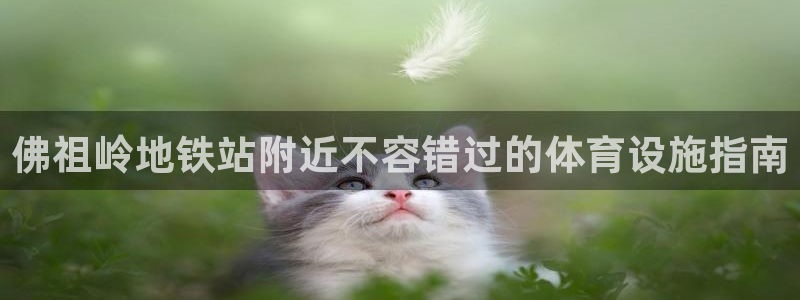 意昂体育3联系电话：佛祖岭地铁站附近不容错过的体育设