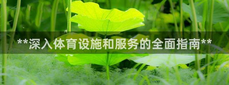 意昂3官方：**深入体育设施和服务的全面指南**