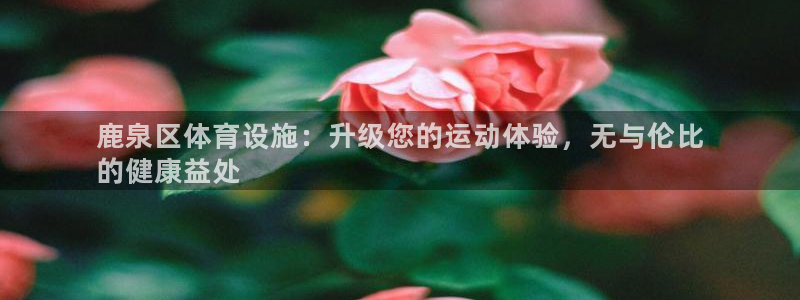 意昂3娱乐网站：鹿泉区体育设施：升级您的运动体验，无