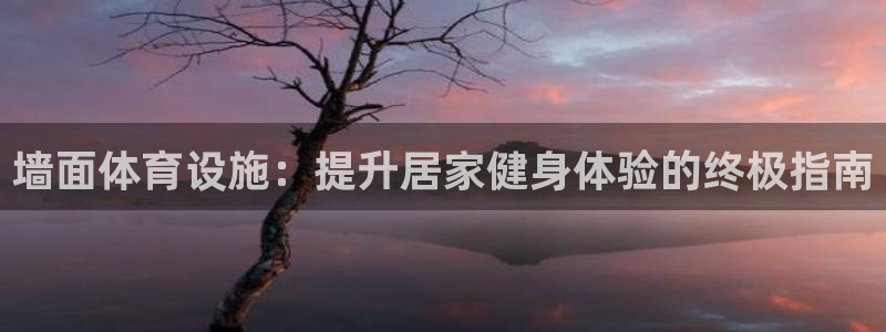 意昂体育3招商电话地址：墙面体育设施：提升居家健身体