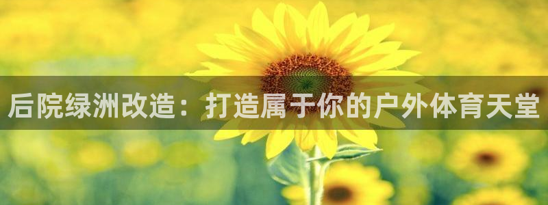 意昂体育3招商电话是多少啊：后院绿洲改造：打造属于你