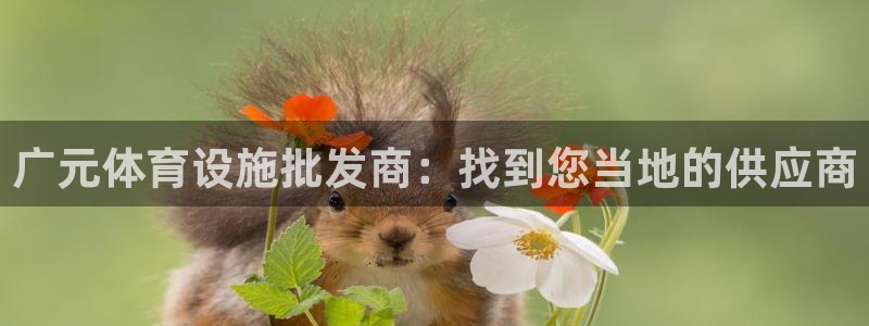 意昂体育3娱乐