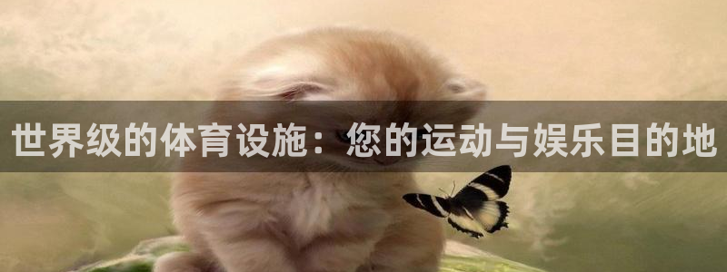 注册意昂3：世界级的体育设施：您的运动与娱乐目的地