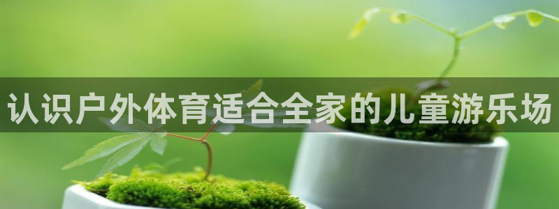 海南意昂体育3发展怎么样：认识户外体育适合全家的儿童游乐场