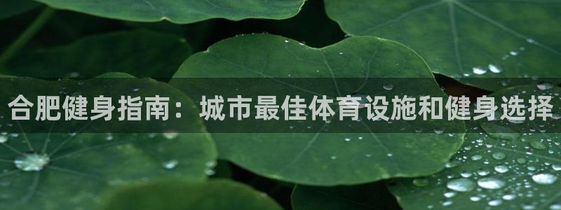 意昂体育3平台是正规平台吗：合肥健身指南：城市最佳体育设施和