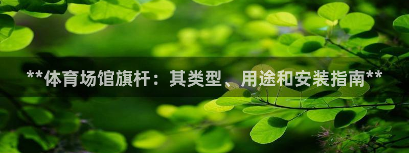 意昂3科技：**体育场馆旗杆：其类型、用途和安装指南